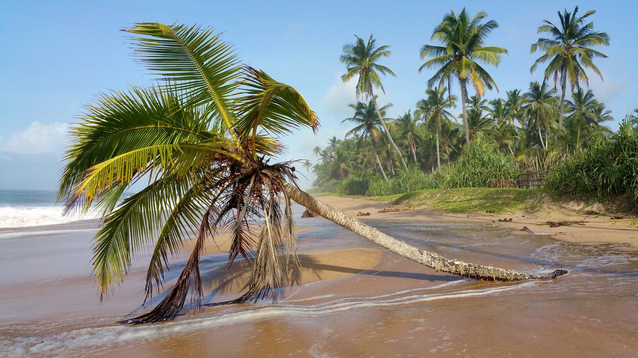 Lankavatara Ocean Retreat & Spa Tangalle Eksteriør bilde